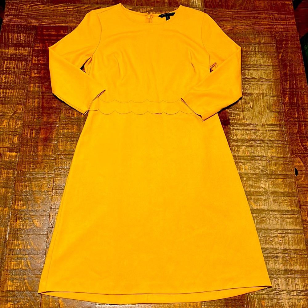 Banana Republic Mustard Dress 6